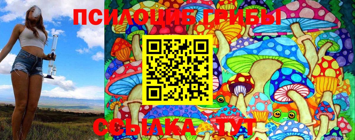 Псилоцибиновые грибы MAGIC MUSHROOMS  Псилоцибиновые грибы мицелий  Вход с VPN  Тавда 
