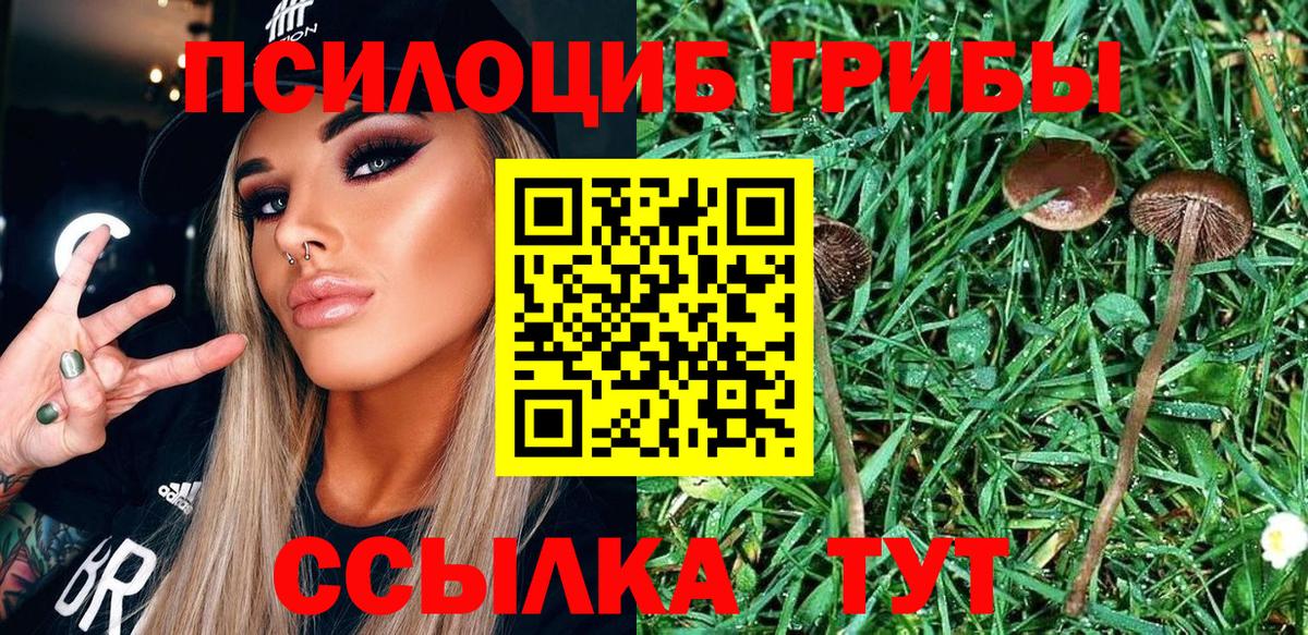 Псилоцибиновые грибы MAGIC MUSHROOMS Тавда