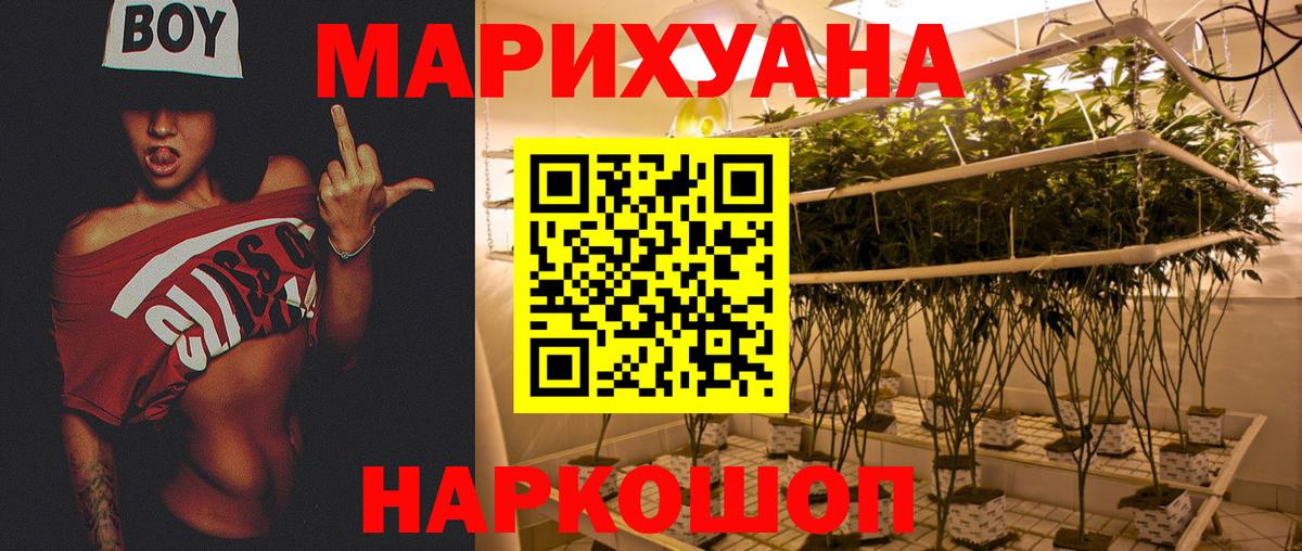 Бошки марихуана конопля  Бошки марихуана сатива  Вход с VPN  Тавда  Конопля план 